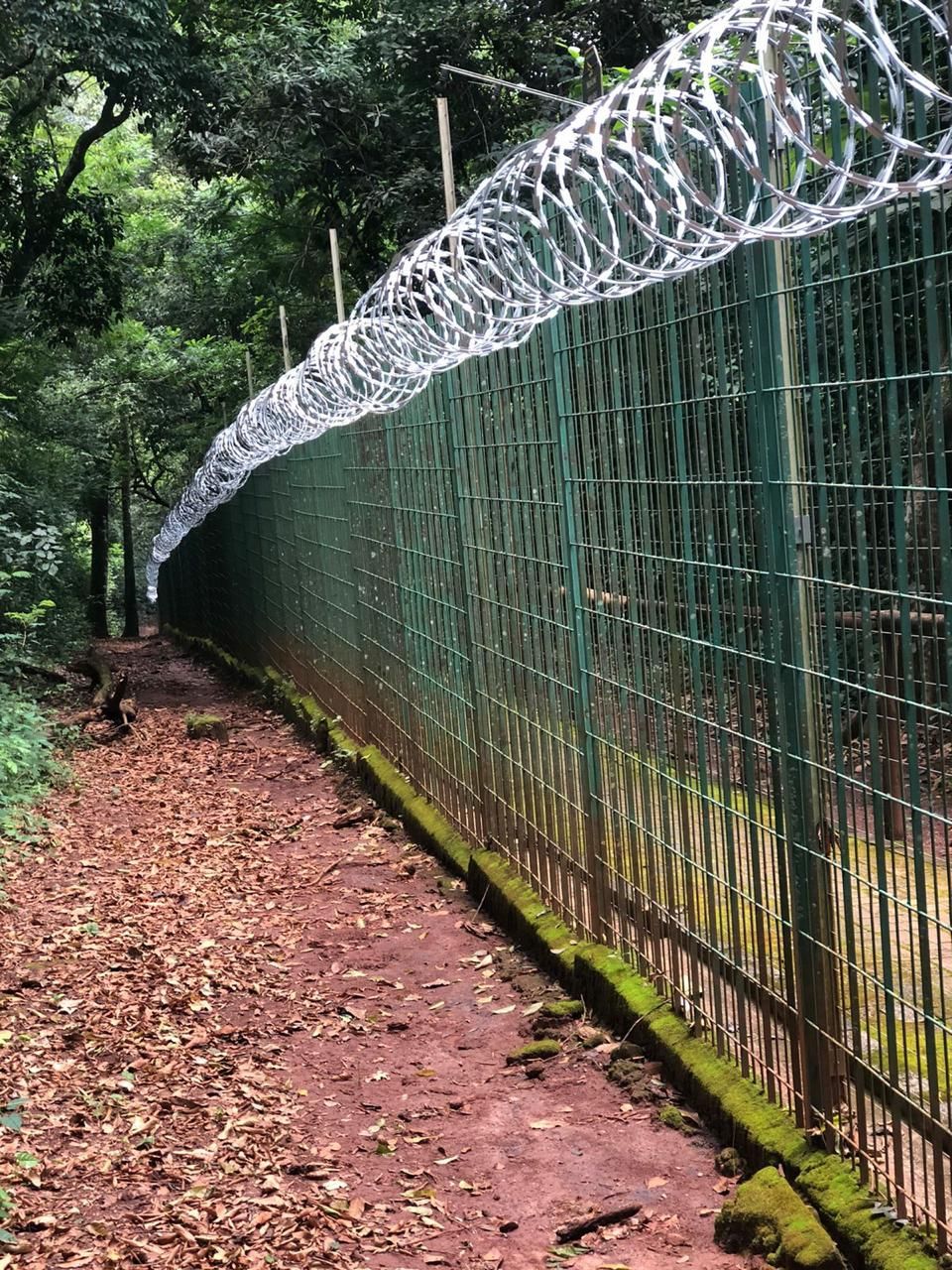 Concertina em gradil de área verde